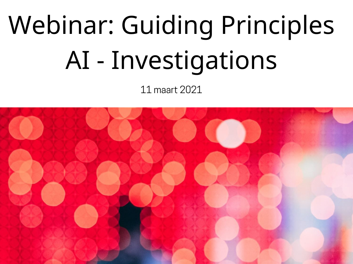 Webinar: Guiding Principles AI